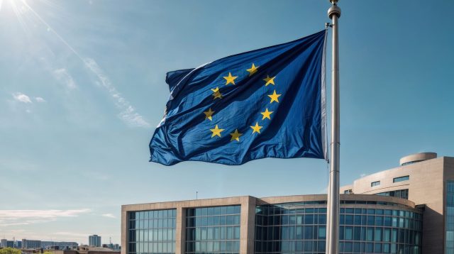 Die Europäische Flagge im Wind