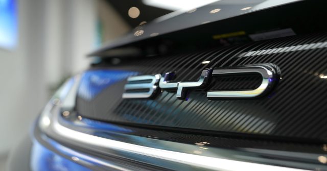 Fahrzeuglogo eines BYD Elektro-Autos