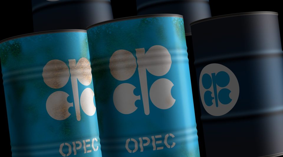 Ölfässer mit dem Logo der "Organization of the Petroleum Exporting Countries" (OPEC)