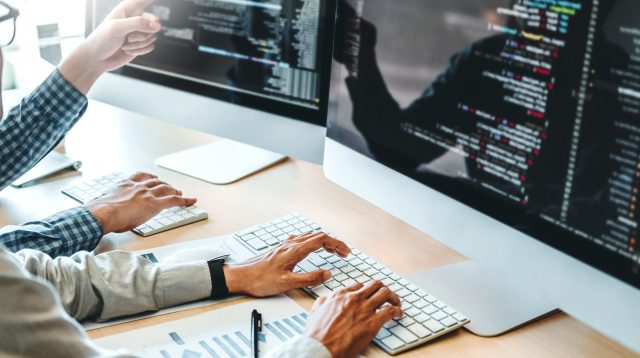 Softwareentwicklung