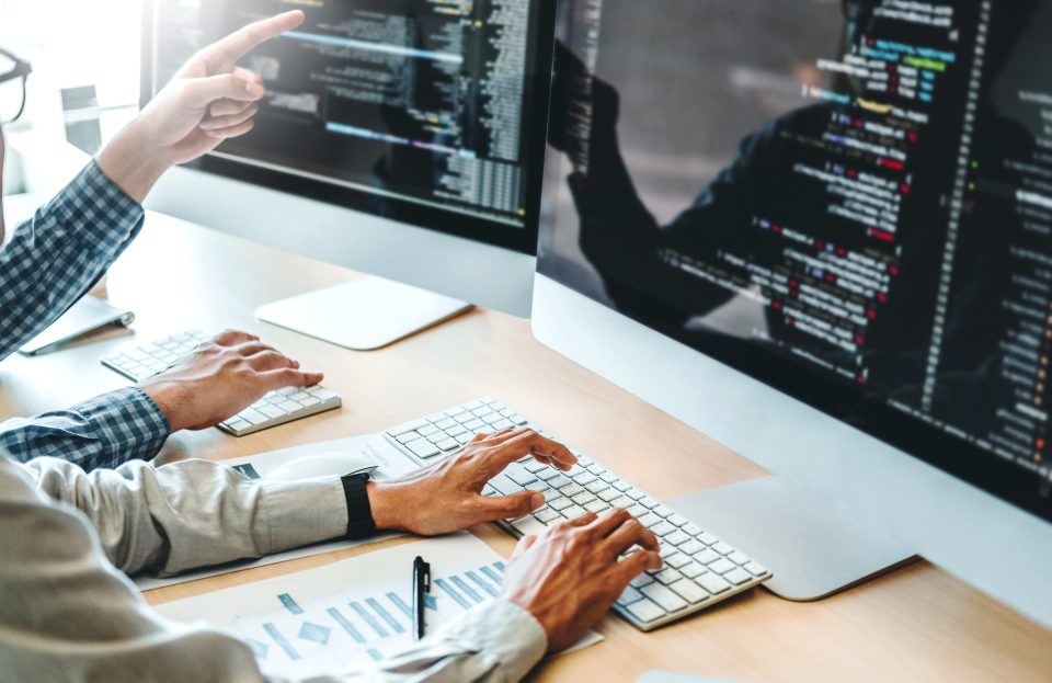 Softwareentwicklung