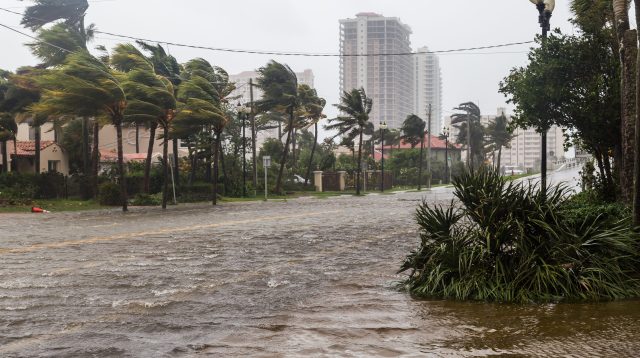 Die Ausmaße eines Hurrikans