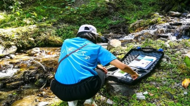 Sets zur Prüfung von Wasserdaten von Halma