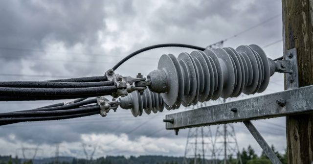 Detailliertes elektrisches Isolationssystem für Hochspannungsleitungen