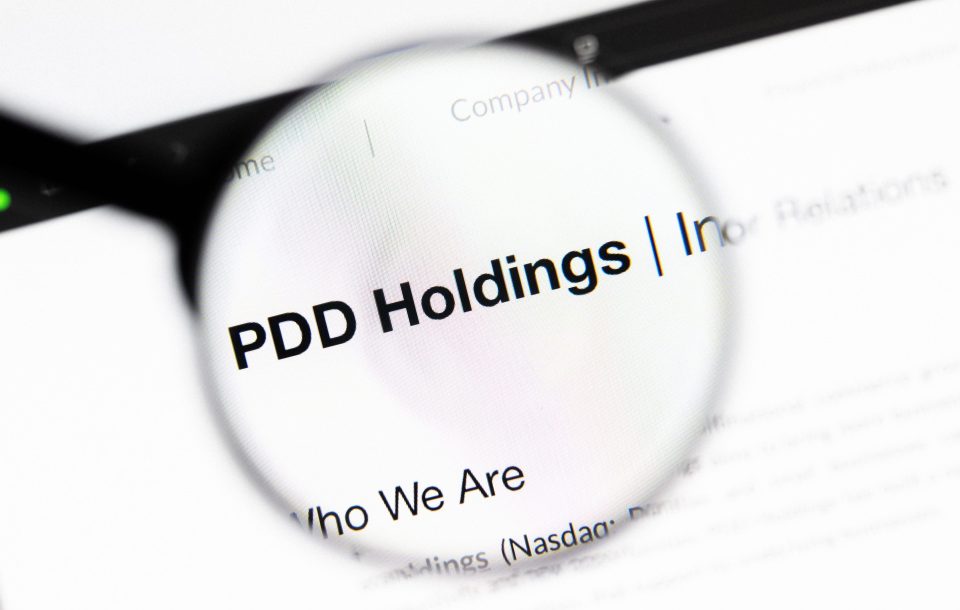 PDD Holdings Website