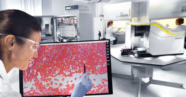Sartorius versorgt Labore mit Geräten zur Zellanalyse