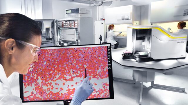Sartorius versorgt Labore mit Geräten zur Zellanalyse