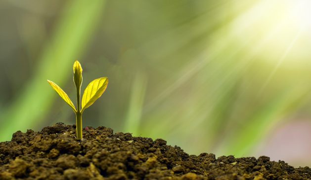 Mit Investments in EM und ESG gleich in zwei Megatrends partiziperen Mit Investments in EM und ESG gleich in zwei Megatrends partiziperen