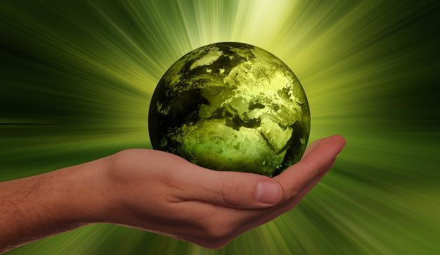 „Greenwashing steht zu Recht im Fokus“ – ESG braucht Transparenz
