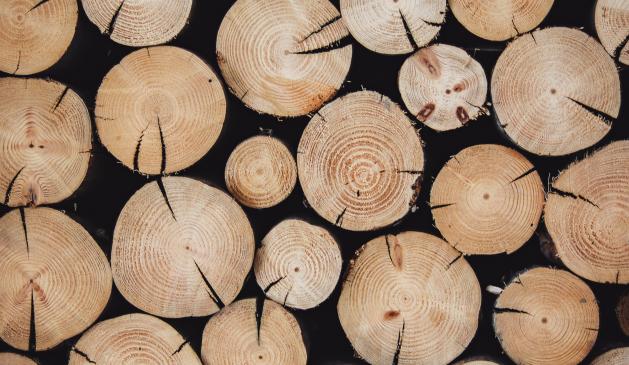 Holz oder doch lieber recyceltes Plastik? Immer mehr Banken tüfteln an nachhaltigen Bankkarten. Holz oder doch lieber recyceltes Plastik? Immer mehr Banken tüfteln an nachhaltigen Bankkarten.