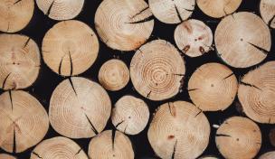 Holz oder doch lieber recyceltes Plastik? Immer mehr Banken tüfteln an nachhaltigen… Holz oder doch lieber recyceltes Plastik? Immer mehr Banken tüfteln an nachhaltigen…