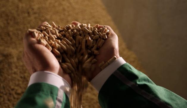 Holzpellets
