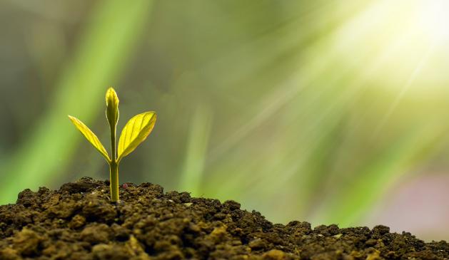 Green Finance Green Finance