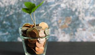 Nicht alle Finanzanlagen sind tatsächlich so grün, wie sie scheinen Nicht alle Finanzanlagen sind tatsächlich so grün, wie sie scheinen