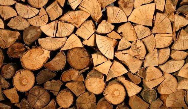 Gut Holz! Gut Holz!