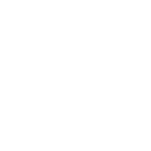 PLATOW Logo